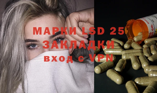таблы Гусев