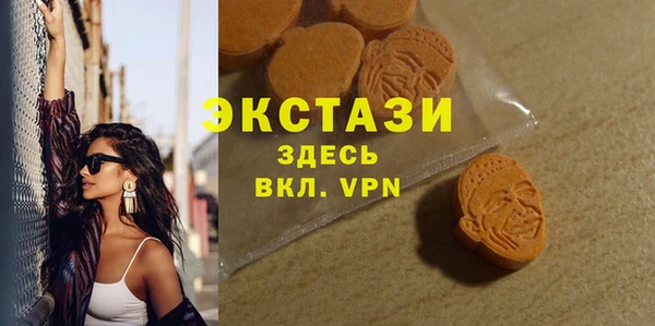таблы Гусев