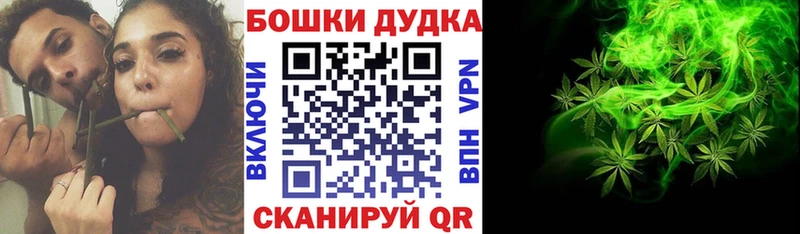 Шишки марихуана Amnesia  Завитинск 